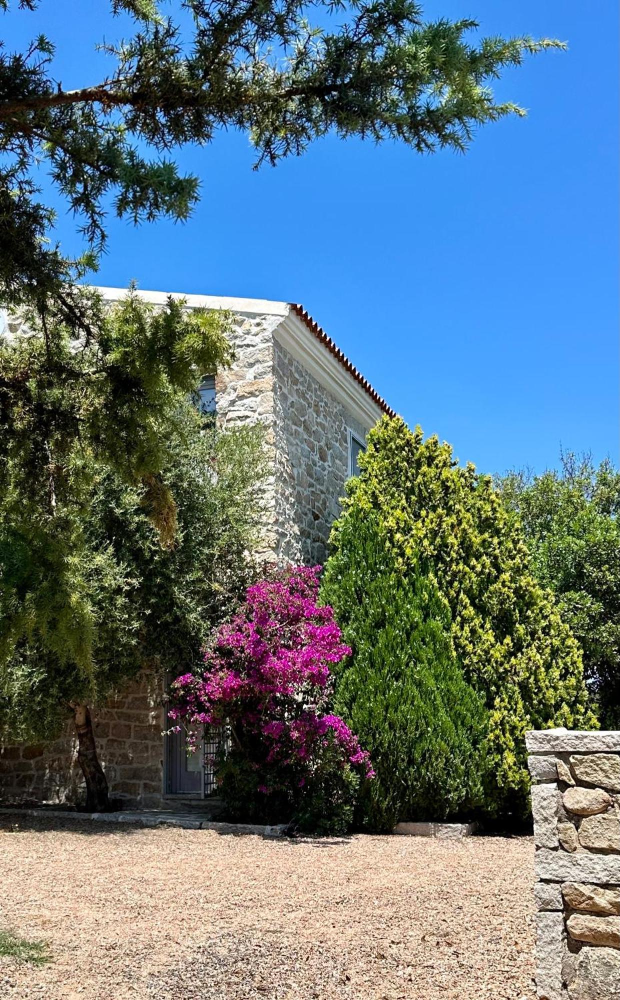 Villa Maria Cristina Santa Teresa Gallura Exterior foto